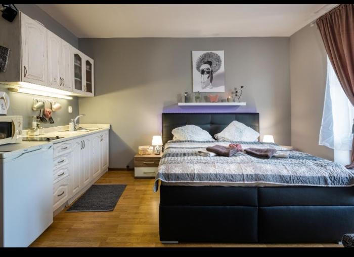 Apartman Zara Superior Lipótszentmiklós Kültér fotó